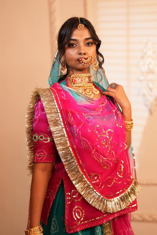 Pure Chiffon Poshak with Bandhini and Aari -Tari Handwork - Rani Pink and Blue Shaded