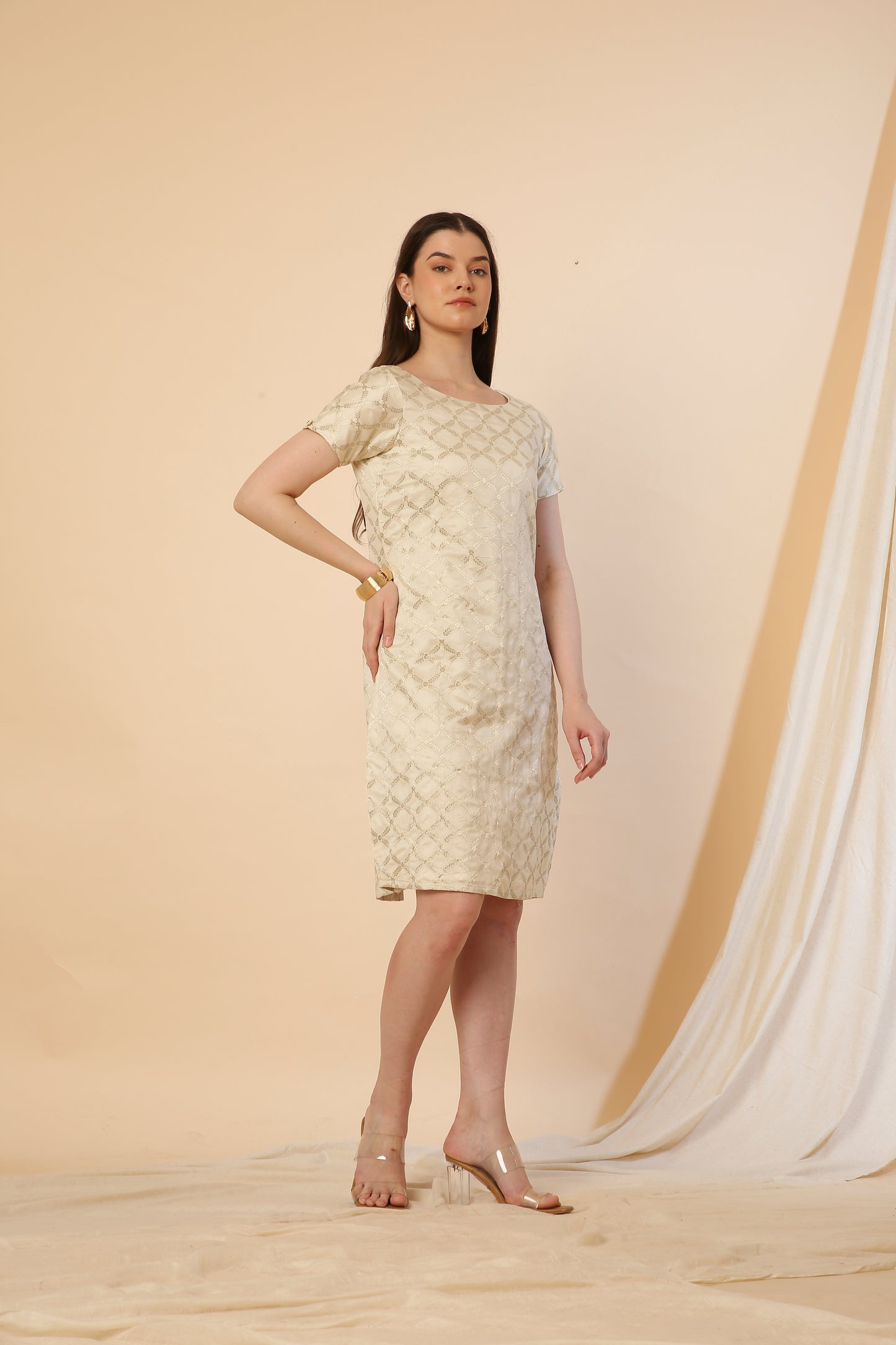 Off-white Indo-Western Banarasi Silk Bodycon Dress