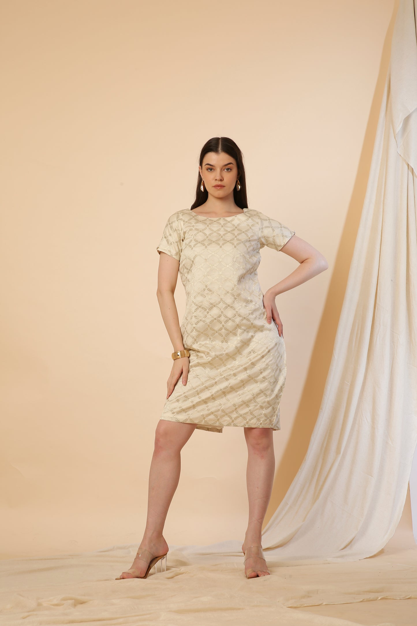 Off-white Indo-Western Banarasi Silk Bodycon Dress