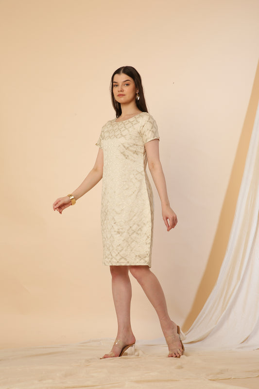Off-white Indo-Western Banarasi  Silk Bodycon Dress
